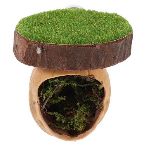COLLBATH Magnetisches Versteck für Springspinnen mit Kletterplattform und Zaun Geeignet für Geckos Eidechsen und Kleine Haustiere aus Walnussholz Installieren Vielseitig Einsetzbar COLLBATH Magnetisches Versteck für Springspinnen mit Kletterplattform und Zaun Geeignet für Geckos Eidechsen und Kleine Haustiere aus Walnussholz Installieren Vielseitig Einsetzbar von COLLBATH
