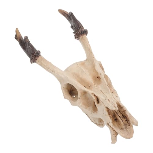 COLLBATH Reptilien Versteck Resin Schädel Höhle Langlebiges Terrarium Deko für Eidechsen Geckos Schildkröten und Kriechtiere Vielseitiges Unterschlupf Zubehör für Schlangen Bereiche COLLBATH Reptilien Versteck Resin Schädel Höhle Langlebiges Terrarium Deko für Eidechsen Geckos Schildkröten und Kriechtiere Vielseitiges Unterschlupf Zubehör für Schlangen Bereiche von COLLBATH