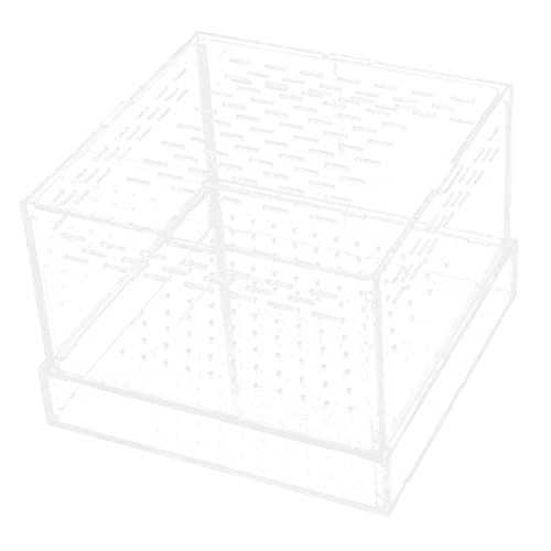 COLLBATH Eleganter Lebensraum Für Springspinnen Insektenfutterbox Aus Acryl Mit Grillenhalter Für Reptilien von COLLBATH