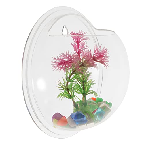 COLLBATH Wandmontierte Transparente Hydroponikvase für Fische und Pflanzen Kreative Wanddekoration im Zufälligen Stil Durchmesser aus Hochwertigem für Wohnzimmer und Balkone von COLLBATH