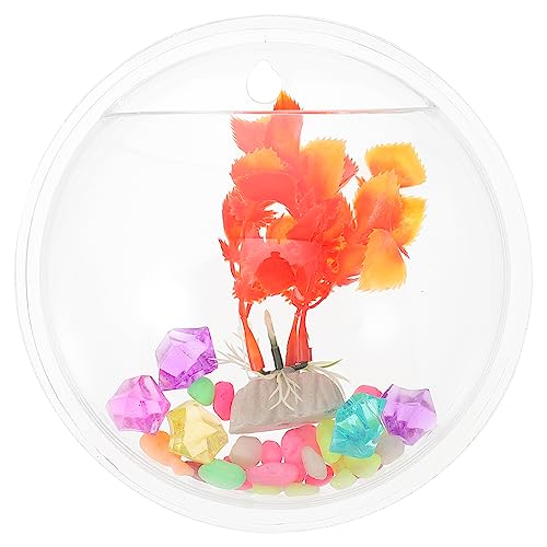 COLLBATH Wandmontierter Fischtank und Blumentopf Transparente Hängende Vase für Kreative Wanddekoration Durchmesser für Pflanzen und Fische Zufällige Farbe von COLLBATH