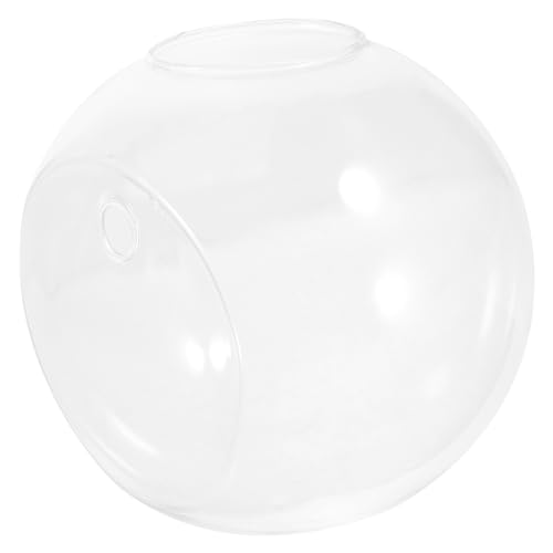 COLLBATH Wandmontierter Glasfischbehälter Einzigartige Vase für Hydroponische Pflanzen Multifunktionale Wanddeko für Zuhause Büro und Garten als Pflanzen und Fischschale von COLLBATH