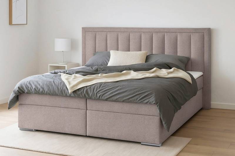 COLLECTION AB Boxbett ATHENA inkl. Bettkasten, erhältlich in der Breite 180cm, erhältlich in verschiedenen Härtegraden, inkl. Topper von COLLECTION AB