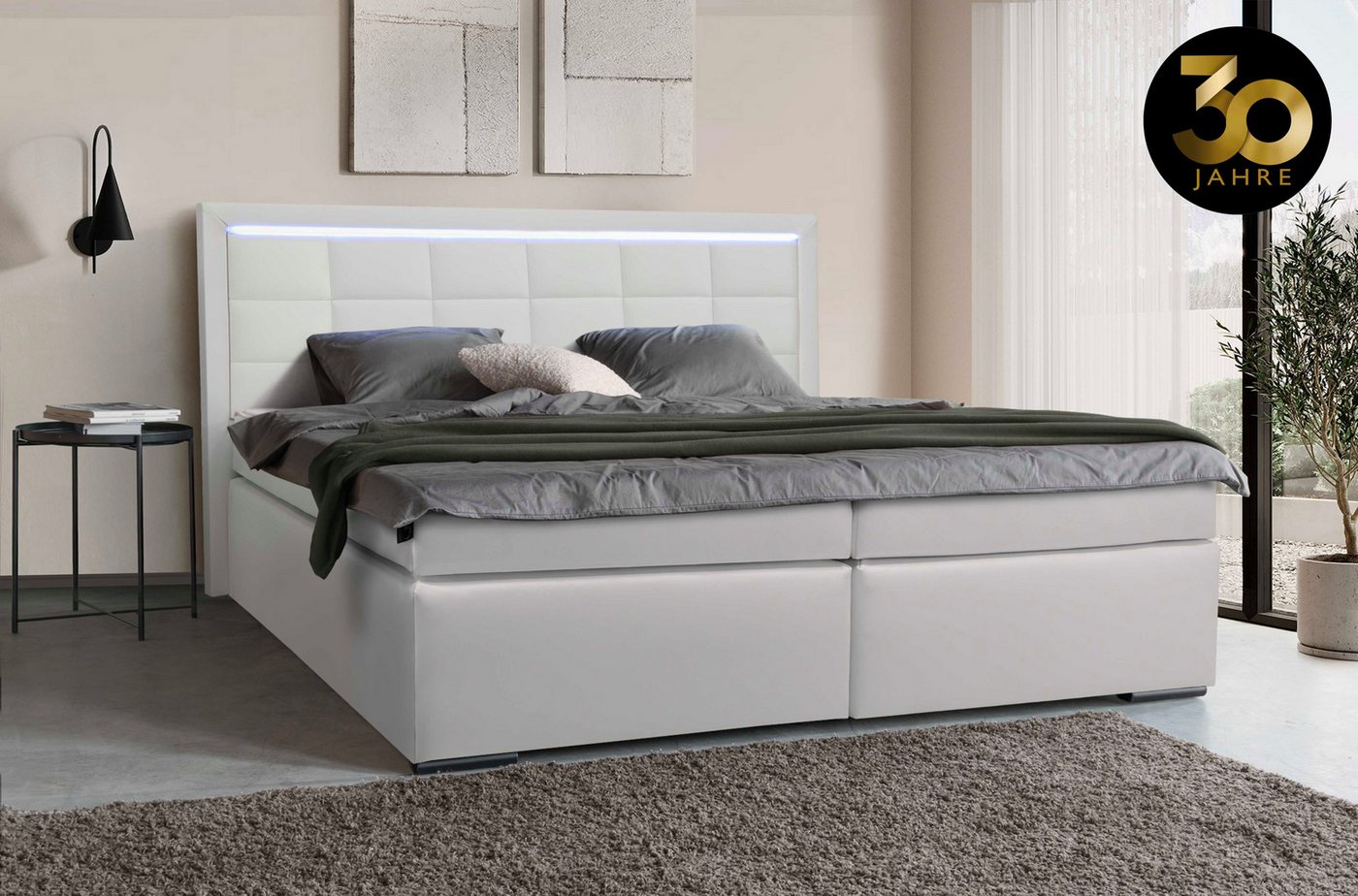 COLLECTION AB Boxspringbett 30 Jahre Jubiläums-Modell Athena, in H2,H3 & H4, inkl. LED-Leiste von COLLECTION AB