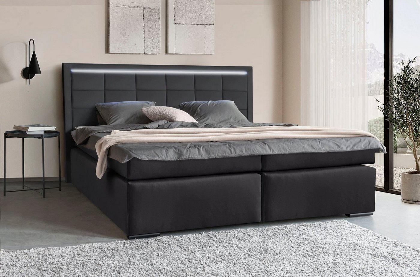 COLLECTION AB Boxspringbett 30 Jahre Jubiläums-Modell Athena, in H2,H3 & H4, inkl. LED-Leiste von COLLECTION AB