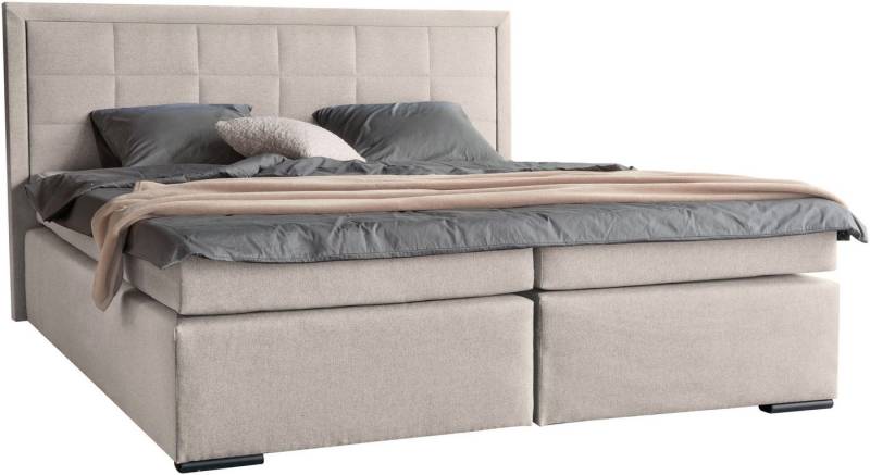 COLLECTION AB Boxspringbett 30 Jahre Jubiläums-Modell Athena, in H2,H3 & H4, wahlweise mit LED-Leiste von COLLECTION AB