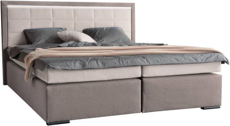 COLLECTION AB Boxspringbett 30 Jahre Jubiläums-Modell Athena, in H2,H3 & H4, wahlweise mit LED-Leiste von COLLECTION AB