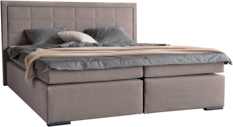 COLLECTION AB Boxspringbett 30 Jahre Jubiläums-Modell Athena, in H2,H3 & H4, wahlweise mit LED-Leiste COLLECTION AB Boxspringbett 30 Jahre Jubiläums-Modell Athena, in H2,H3 & H4, wahlweise mit LED-Leiste von COLLECTION AB