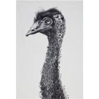 Maxwell & Williams Marini Ferlazzo Küchentuch de Design de Emu de 100% Baumwolle, 50 x 70 cm - Weiß von COLNK