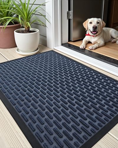 COLOR&GEOMETRY Fußmatte Außen 60 x 90 cm, Schmutzfangmatte für Innen und Außen, Waschbar Fußmatte Outdoor rutschfeste Türmatte Außen Fussmatte Aussenbereich Eingangsteppich - Blau von COLOR&GEOMETRY