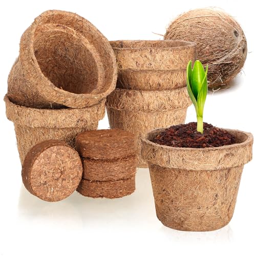 com-four® 10-teiliges Kokosanzucht-Set - biologisch abbaubare Kokosscheiben im Topf - Anzuchthilfe aus 5 Quelltabs und 5 Töpfen - Pflanzschalen aus Kokosfaser - Anzuchtunterstützung für Samen von com-four