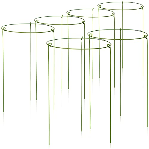 COM-FOUR® 6X Blumen- und Staudenhalter 28cm - Strauchstütze rund - Buschstütze für Blumen, Rankengewächse und Stauden - Ø 18 cm von com-four