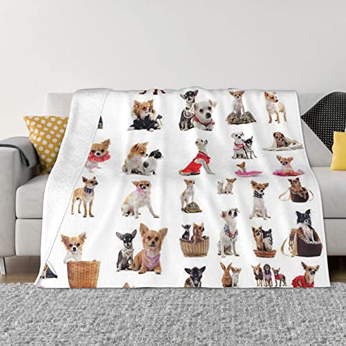 COMAAM Flanelldecke mit niedlichem Chihuahua-Mops-Muster, mehrere Größen, horizontaler Stil, Decke für Sofas und Betten von COMAAM
