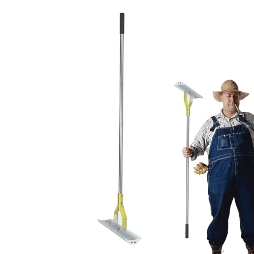 COMFOLIVING Dethatcher Rake,Rasen Dethatcher Rake | Metall manuelle Dethatcher Garten Rake - Rasen, Edelstahl Rasen für eine effektive Gartenpflege COMFOLIVING Dethatcher Rake,Rasen Dethatcher Rake | Metall manuelle Dethatcher Garten Rake - Rasen, Edelstahl Rasen für eine effektive Gartenpflege von COMFOLIVING