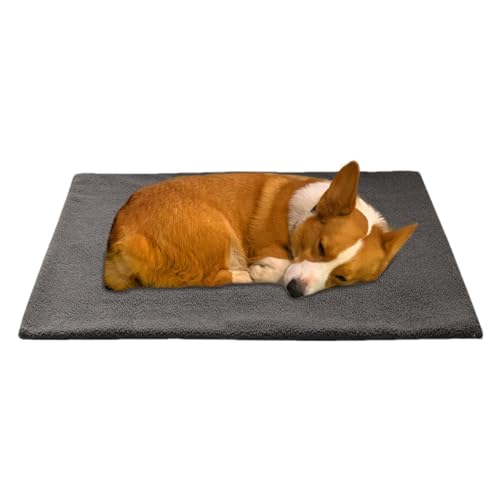 COMFOLIVING Heizendes Katzenbett, 3-lagiges Haustier-Heizkissen, thermisches Katzenwärmbett, waschbar, extra warm, wärmend, Haustiermatte für reflektiert Körperwärme, Outdoor-Isolierung COMFOLIVING Heizendes Katzenbett, 3-lagiges Haustier-Heizkissen, thermisches Katzenwärmbett, waschbar, extra warm, wärmend, Haustiermatte für reflektiert Körperwärme, Outdoor-Isolierung von COMFOLIVING