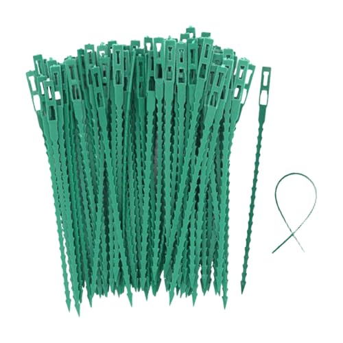 COMFOLIVING Pflanzenbinder für Kletterpflanzen, Gartenbinder – Garten-Drehbänder, verstellbare Pflanzenstützbänder, Unterstützung von Pflanzen und Organisation zu Hause COMFOLIVING Pflanzenbinder für Kletterpflanzen, Gartenbinder – Garten-Drehbänder, verstellbare Pflanzenstützbänder, Unterstützung von Pflanzen und Organisation zu Hause von COMFOLIVING