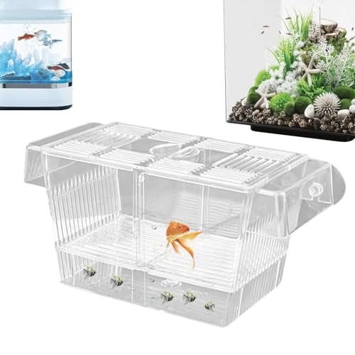Fischzuchtbox – Acryl Aquarium | Inkubator Zuchtbox | Innovatives schwimmendes Design Verbesserter Frittierschutz Einfache Einrichtung Trennwand Schlüpfen Boxen für Babyfische Garnelen Betta Guppy Fischzuchtbox – Acryl Aquarium | Inkubator Zuchtbox | Innovatives schwimmendes Design Verbesserter Frittierschutz Einfache Einrichtung Trennwand Schlüpfen Boxen für Babyfische Garnelen Betta Guppy von COMFOLIVING