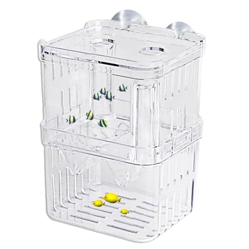 Fischzuchtbox – Acryl Aquarium | Inkubator Zuchtbox | Innovatives schwimmendes Design Verbesserter Frittierschutz Einfache Einrichtung Trennwand Schlüpfen Boxen für Babyfische Garnelen Betta Guppy Fischzuchtbox – Acryl Aquarium | Inkubator Zuchtbox | Innovatives schwimmendes Design Verbesserter Frittierschutz Einfache Einrichtung Trennwand Schlüpfen Boxen für Babyfische Garnelen Betta Guppy von COMFOLIVING