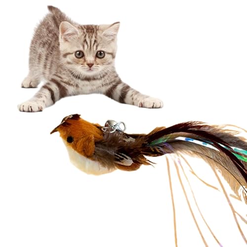 Katzenfederspielzeug Nachfüllpackungen – Katzenspielzeug Federn Nachfüllung | Feder Teaser Zauberstab Ersatzkopf | Multifunktionales interaktives Katzenspielzeug | Katzenspielzeug | Katzenspielzeug Katzenfederspielzeug Nachfüllpackungen – Katzenspielzeug Federn Nachfüllung | Feder Teaser Zauberstab Ersatzkopf | Multifunktionales interaktives Katzenspielzeug | Katzenspielzeug | Katzenspielzeug von COMFOLIVING
