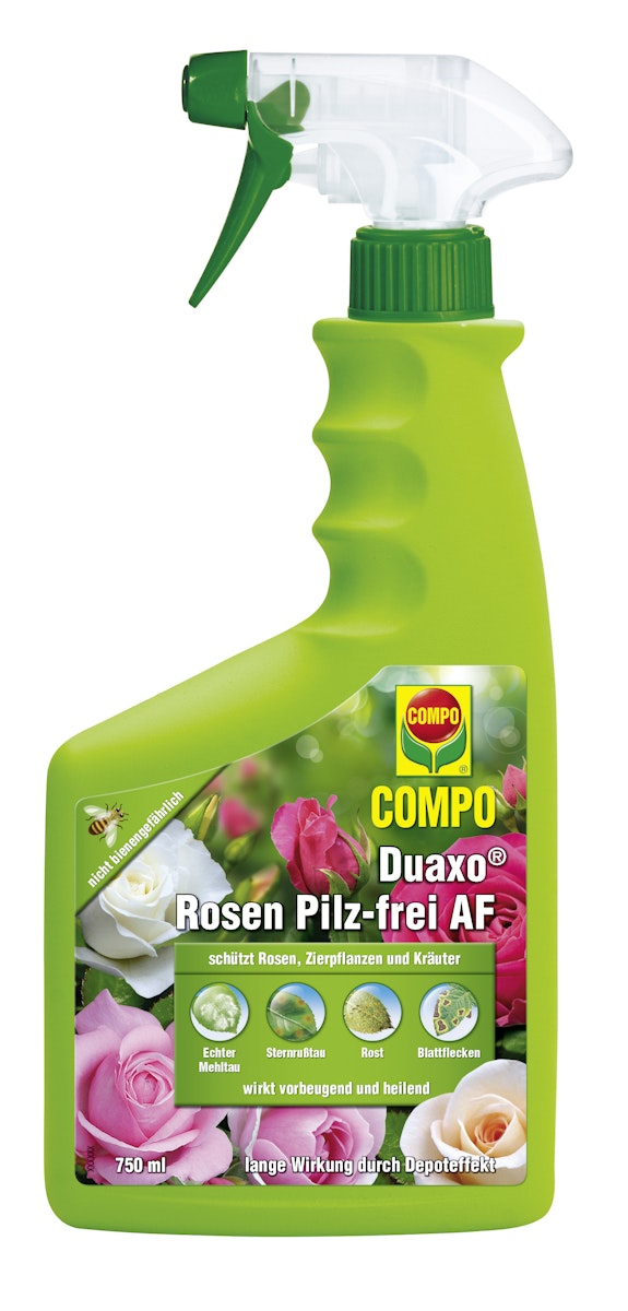COMPO Duaxo Rosen Pilz-frei AF (750 ml) von COMPO