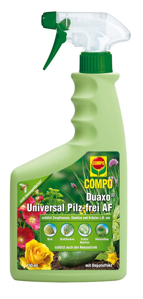 COMPO Duaxo Universal Pilz-frei AF (750 ml) von COMPO