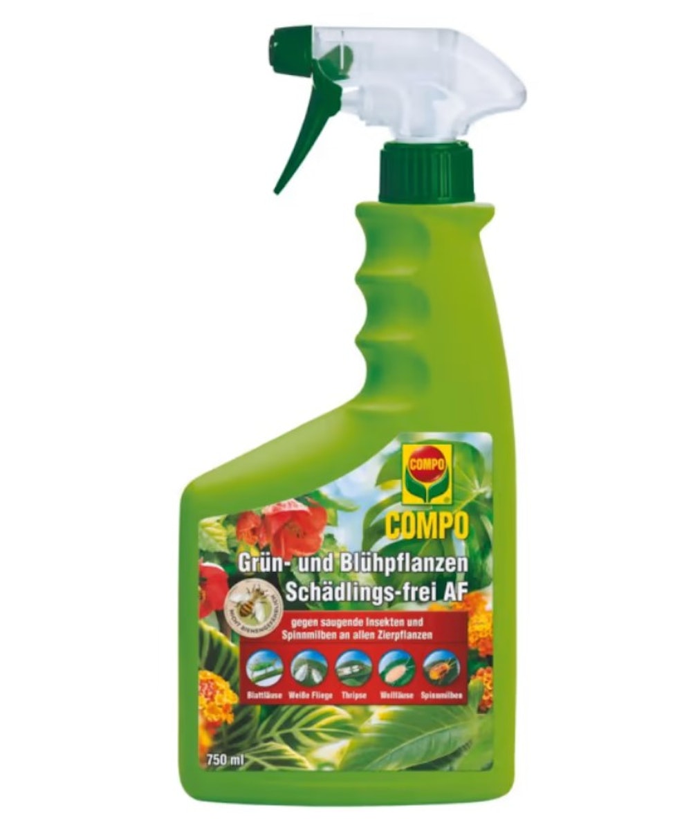 COMPO Grün- und Blühpflanzen Schädlings-frei AF 750 ml von COMPO
