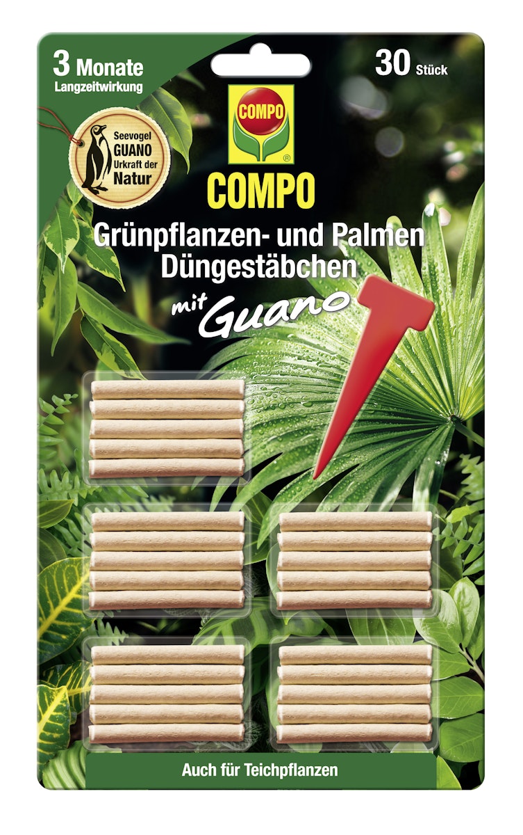 COMPO Grünpflanzen- und Palmen Düngestäbchen mit GUANO von COMPO