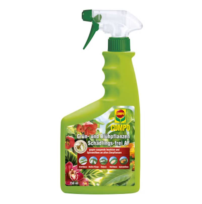 COMPO Grün- und Blühpflanzen Schädlings-frei AF 750 ml von COMPO