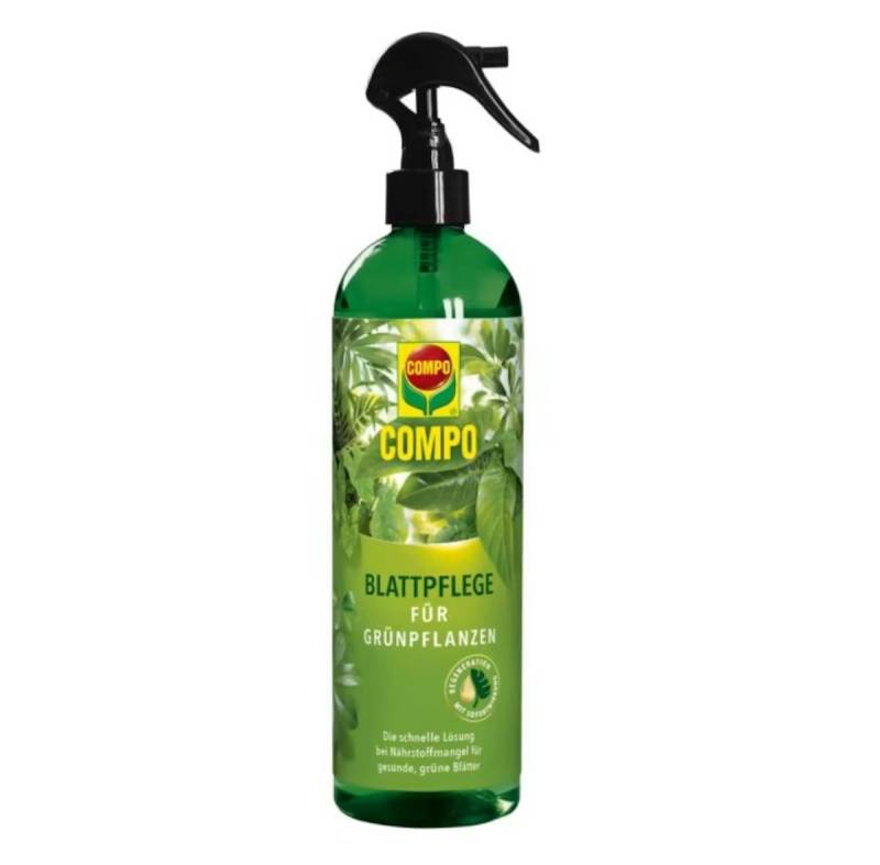 Compo Blattpflege für Grünpflanzen 500 ml von COMPO