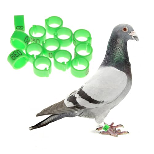 COMPUKAS 100 Stück Öffnungs Fußringe für Tauben mit Zahlenkennung Grün Langlebig und Leicht Anpassbar Geeignet für Geflügel und Vögel zur Einfachen Identifikation COMPUKAS 100 Stück Öffnungs Fußringe für Tauben mit Zahlenkennung Grün Langlebig und Leicht Anpassbar Geeignet für Geflügel und Vögel zur Einfachen Identifikation von COMPUKAS