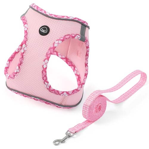 COMSLE Hundegeschirr Kleine Hunde mit Leine, Step-in Geschirr aus Air Mesh COMSLE Hundegeschirr Kleine Hunde mit Leine, Step-in Geschirr aus Air Mesh von COMSLE