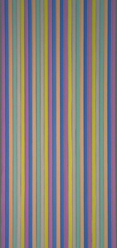 CONACORD Insektenschutz-Vorhang Decona Brillant Streifenvorhang bunt, 90 x 200 cm, PVC - hohe Stranganzahl von CONACORD