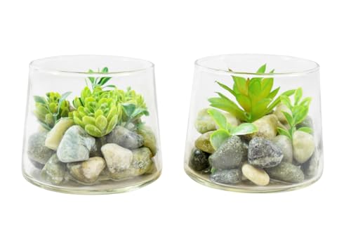 CONCORD HOME & INTERIOR 2X Sukkulente mit Steinen im Glas | Kunstblume Blume künstlich Dekoration | 10 cm von CONCORD HOME & INTERIOR