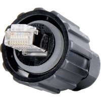 Gebraucht] Conec 17 100474 Sensor /Aktor Datensteckverbinder Stecker Einbau Polzahl: 8 P8 c B-Ware von CONEC
