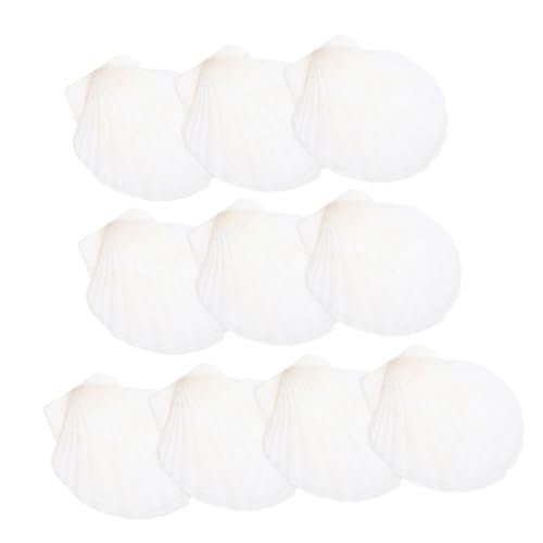 CONGARTENO 10 Stück Teiliges Natürliche Weiße Scallop Muscheln DIY Dekoration für Aquarium Landschaftsbau und Meeres Bastelprojekte von CONGARTENO
