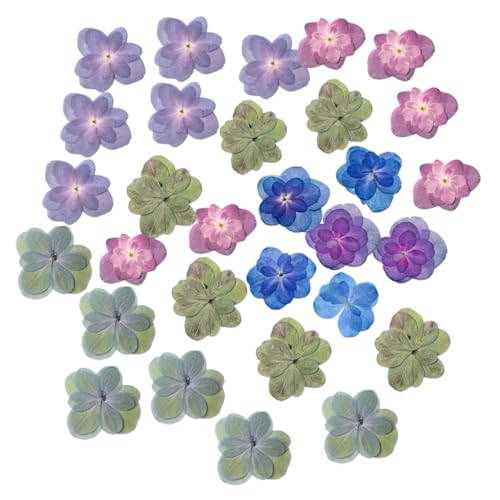 CONGARTENO 30 Stück Teiliges Natürliche Getrocknete Blumen Schwerblütige Hortensien DIY Trockenblumen für Kunstharz Scrapbooking Handwerk Dekoration Langlebig Verblassungsfrei CONGARTENO 30 Stück Teiliges Natürliche Getrocknete Blumen Schwerblütige Hortensien DIY Trockenblumen für Kunstharz Scrapbooking Handwerk Dekoration Langlebig Verblassungsfrei von CONGARTENO