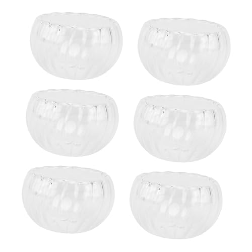 CONGARTENO 6 Stück Teiliges Doppelwandiges Teeglas mit Hitzebeständigem Borosilikatglas und Dekorativem Kürbisstreifen Transparente Tee Tassen für Heiße Getränke Stilvolle Gläser für Wasser von CONGARTENO