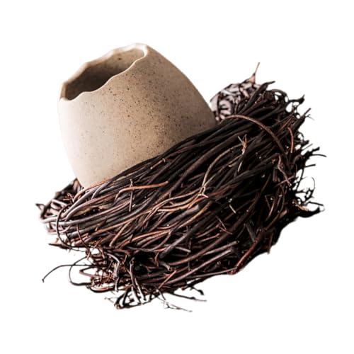 CONGARTENO Keramik Eierschalen Vase mit Vogelnest Dekor Kleine Hydroponische Pflanzvase für Sukkulenten und Bonsai Wohnraumdekoration Natürliche Oberfläche CONGARTENO Keramik Eierschalen Vase mit Vogelnest Dekor Kleine Hydroponische Pflanzvase für Sukkulenten und Bonsai Wohnraumdekoration Natürliche Oberfläche von CONGARTENO