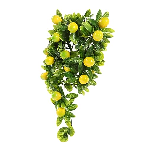 CONGARTENO Künstliche Zitronenfrucht Girlande Realistische Hängende Obstrebe Wiederverwendbar Leicht Wasserfrei Wand und Partydeko für Zuhause Hochzeit Festival Fenster Regal CONGARTENO Künstliche Zitronenfrucht Girlande Realistische Hängende Obstrebe Wiederverwendbar Leicht Wasserfrei Wand und Partydeko für Zuhause Hochzeit Festival Fenster Regal von CONGARTENO