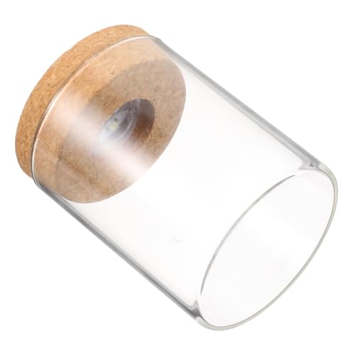 CONGARTENO Mini Flaschengarten aus Hochborosilikat Glas mit LED Licht Runde DIY Terrarium Flasche mit Deckel Kreative Moos Pflanzenlandschaft für Wohn Arbeitszimmer Dekoratives von CONGARTENO