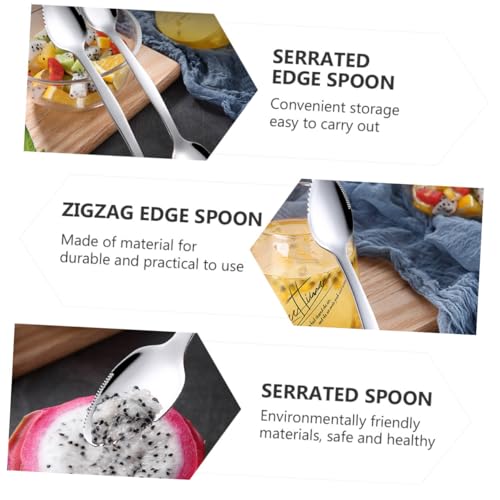 CONGARTENO Teiliges Edelstahl Mud Scraping Spoon mit Beidseitigem Rundem Sägezahndesign Ergonomischer Leichter Obst Lebensmittellöffel Vielseitig für Küche Bar und Restaurant Geeignet von CONGARTENO