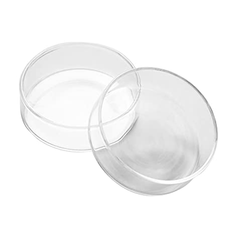 CONGARTENO Transparente Mini Glasplatte mit Prägung Stilvolle Servierplatte für Obst und Snacks Stilvoller Dessertteller für Partys und Alltag Vielseitiges Tablett für Tischdekoration und CONGARTENO Transparente Mini Glasplatte mit Prägung Stilvolle Servierplatte für Obst und Snacks Stilvoller Dessertteller für Partys und Alltag Vielseitiges Tablett für Tischdekoration und von CONGARTENO