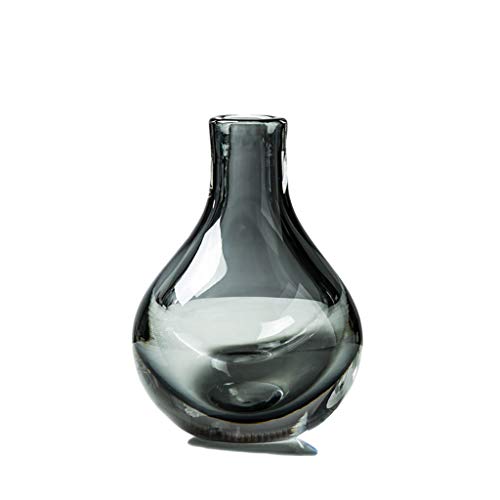 CONGRUI Glasvase, Dekoration, Blumenarrangement, einfach, klein, frisch, transparent, Dekoration, Zuhause, Wohntisch, Tisch (grau) von CONGRUI