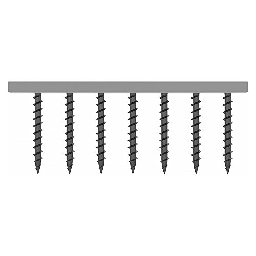 CONSTRUSIM C5654025 C5654025-Tor.Phosph.Packung mit 1000 Stück, Schwarz von CONSTRUSIM