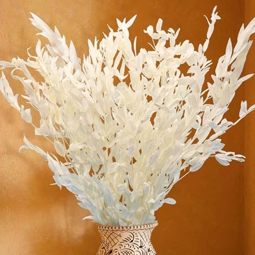 Echte weiße Eukalyptus-Ruscus-Stängel, natürliche, frisch konservierte Eukalyptusblätter, Bündel für Zuhause, Hochzeit, Party, Dekoration, DIY von CONVOW