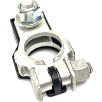 Neuer Ersatz-Batterie-Pluspol 243407F000 / 24340-7F000 90982-05037, kompatibel mit Nissan, Toyota, Infiniti, Lexus usw. Fahrzeugen (1 Packung) von COOCHEER