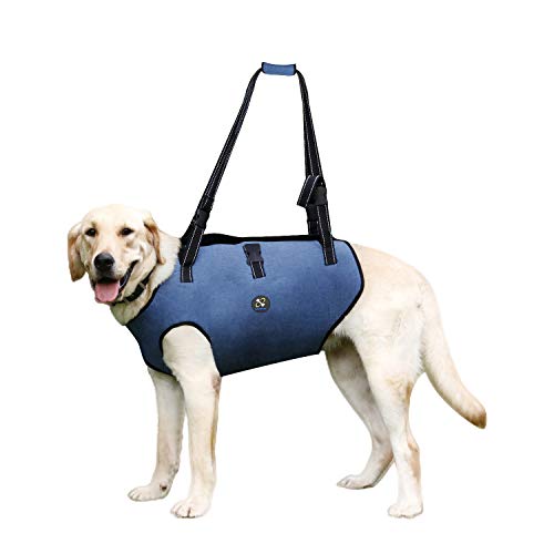 Coodeo Hundeliftgeschirr, Haustierunterstützung & Rehabilitation Sling Lift Verstellbare Gepolsterte atmungsaktive Gurte für Alt, Gelenkverletzungen, Arthritis, Stabilitätsverlust Hunde(Blau, XL) Coodeo Hundeliftgeschirr, Haustierunterstützung & Rehabilitation Sling Lift Verstellbare Gepolsterte atmungsaktive Gurte für Alt, Gelenkverletzungen, Arthritis, Stabilitätsverlust Hunde(Blau, XL) von COODEO