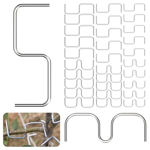 30 Stück Astspreizer Für Obstbäume,13/10/8 cm Astspreizer M-Förmig,13/10/8 cm S-Förmig, Astzieher Astspreizer Für Obstbäume,Für Schiefe Bäume,Gartentöpfe,Wiederverwendbare Landwirtschaftliche Geräte von COONE