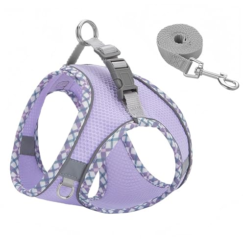 Hundegeschirr Kleine Hunde, Katzengeschirr mit Leine, Welpengeschirr Ausbruchsicher für Outdoor-Wanderung (Lila, passend für kleine Haustiere) von COONE