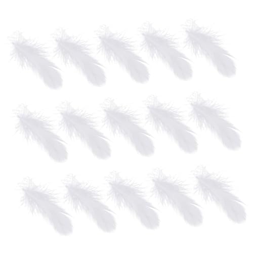 COOPHYA 200stücke Bastelfedern Hochzeitsschwanenfedern Federn Requisite Multifunktionale Federn Wohndekoration COOPHYA 200stücke Bastelfedern Hochzeitsschwanenfedern Federn Requisite Multifunktionale Federn Wohndekoration von COOPHYA